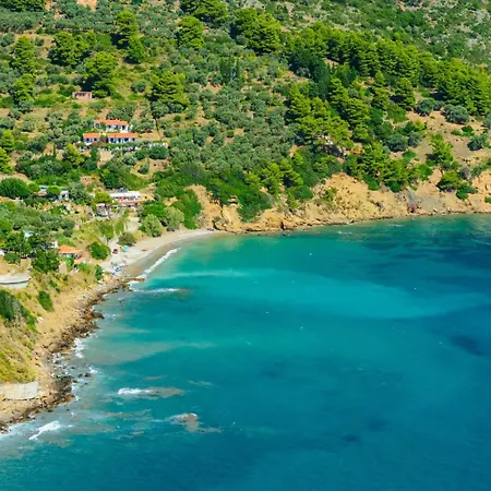 Denise Skopelos